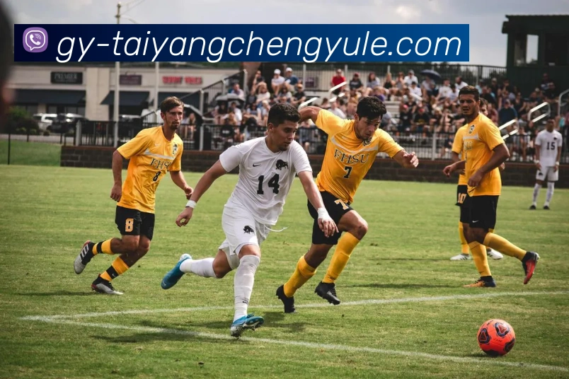 太阳城娱乐APP 封面图